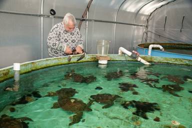 You are currently viewing Gulf Specimen Lab Needs Help!