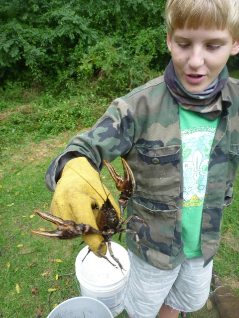 Read more about the article Crayfishing! — Fun Down at the River