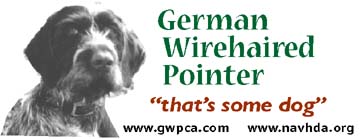 Read more about the article GWP: That’s Some Dog! –sticker
