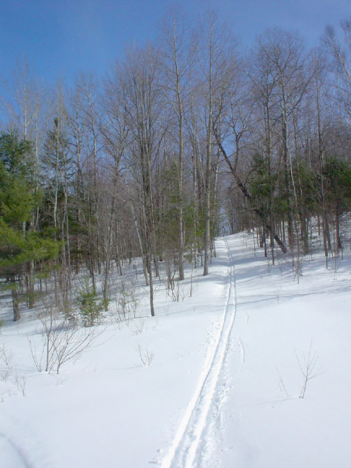 Read more about the article Singletrack Fever! Loppet City Heaven!