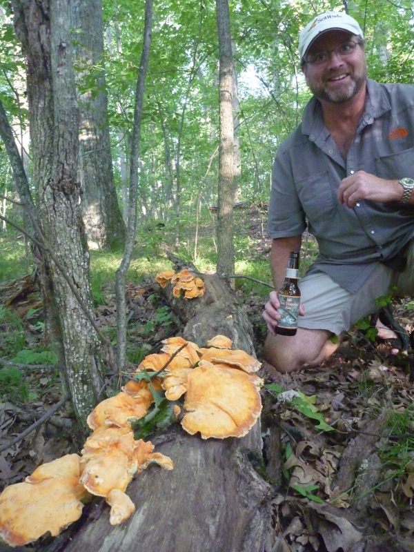 Read more about the article Wild Mushrooms: Lots More than Morels Out There!