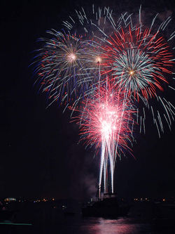 Read more about the article Ever Wonder About Fireworks?