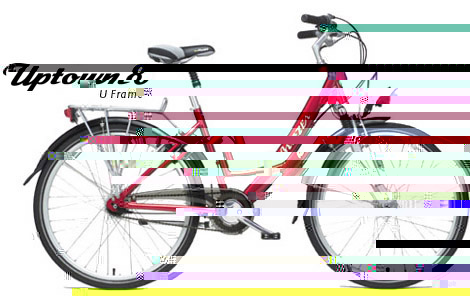 Read more about the article The Ultimate Versatile Bike