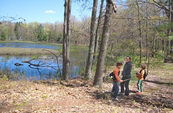 You are currently viewing NCT Trail Hike in Baldwin Springtime