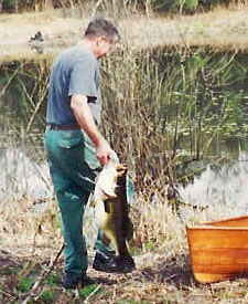 Read more about the article How to Catch a Bass (World Record?)