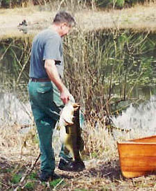 You are currently viewing How to Catch a Bass (World Record?)