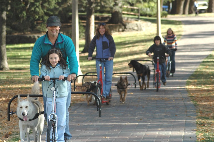 Read more about the article Dog “Pushing”: the easy way to dog-scooter?