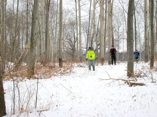 You are currently viewing Possible Outdoor Rec Area at MSU