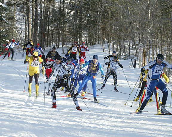 Read more about the article Colorful Cacophony: THE BIRKIE!