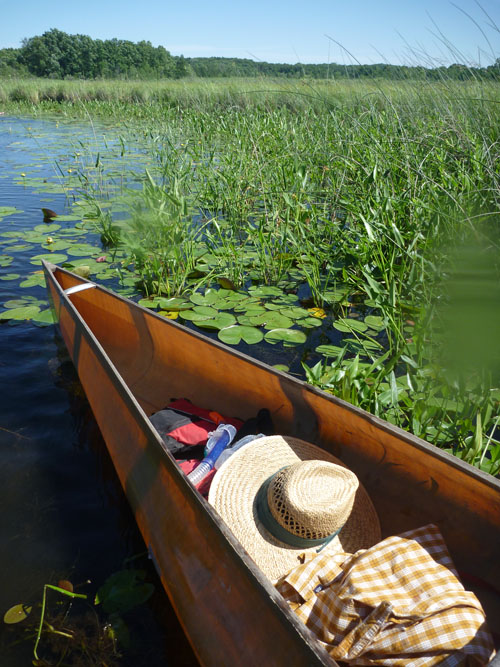 Read more about the article A Visit to Watery Waterloo…