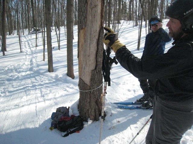 You are currently viewing DIY BC Tele: Don’t Forget the Slopes