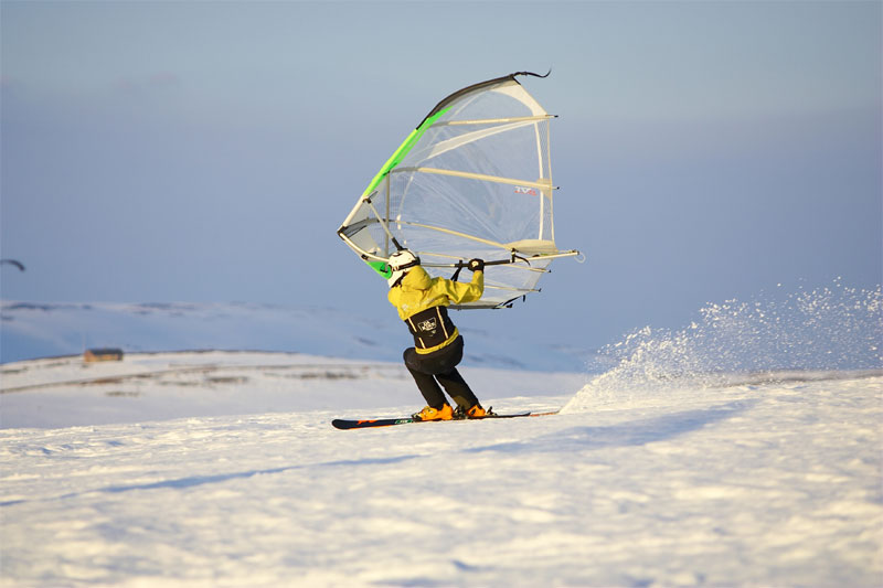 Read more about the article Kite Wing: the “Do It All” Wing Thang