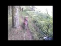 You are currently viewing Bike Joring: Mtbikes and dogs on the trail!