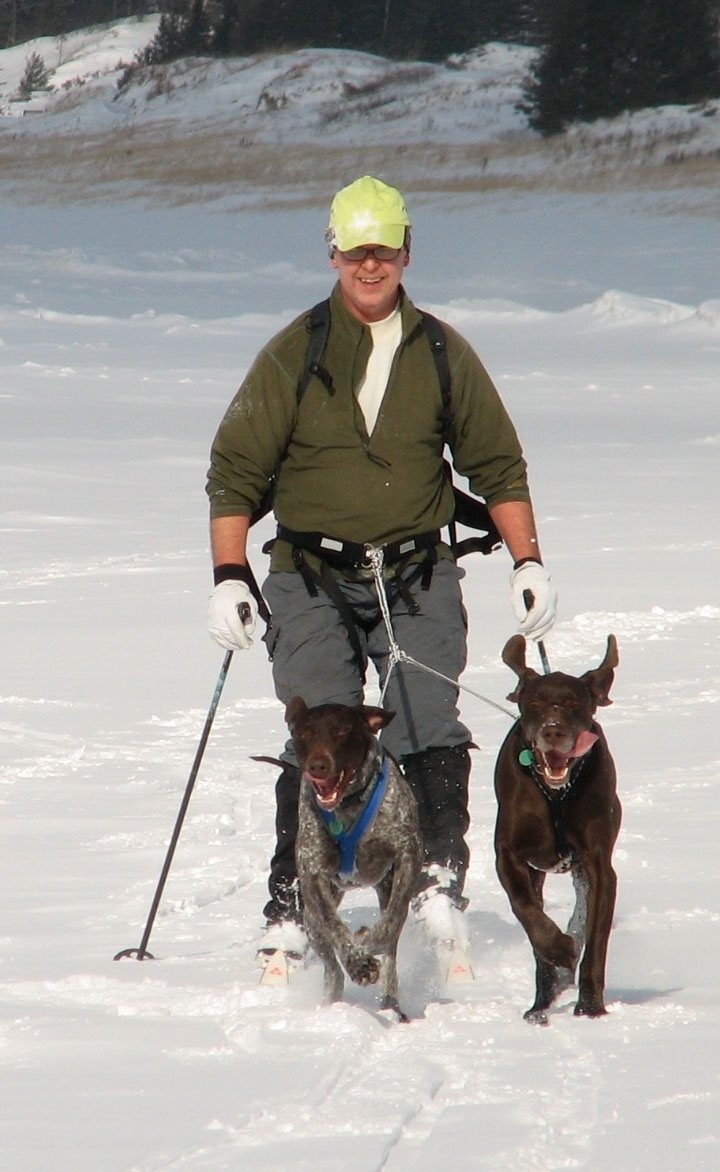 Read more about the article Skijoring in Michigan!