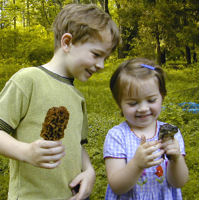 Read more about the article It’s the frogs and morels time of year… [again]