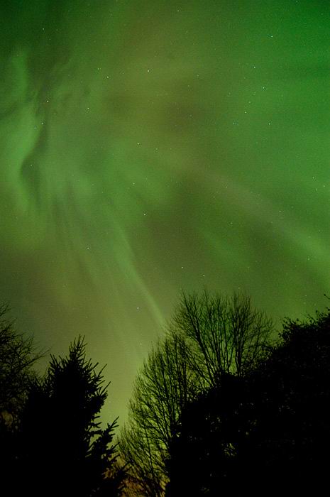 Read more about the article We saw the Northern Lights!