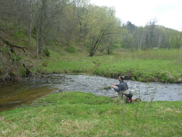 Read more about the article Trouting in the Driftless