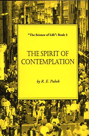 Read more about the article The Spirit of Contemplation