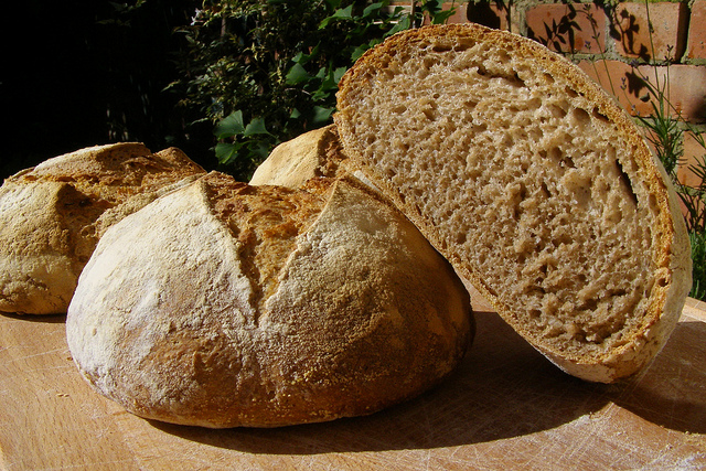 Read more about the article Sourdough Fever: Making Bread, Pancakes & More!