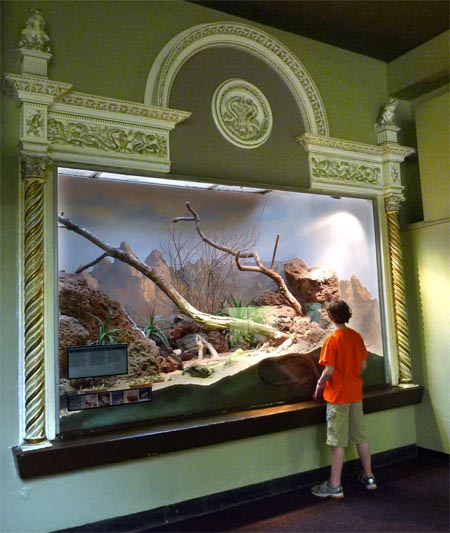 Read more about the article Team OYB Road Trip 3: the Herpetarium at the St. Louis Zoo!