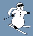 Read more about the article 1st Big XC Ski Race in SE Michigan!