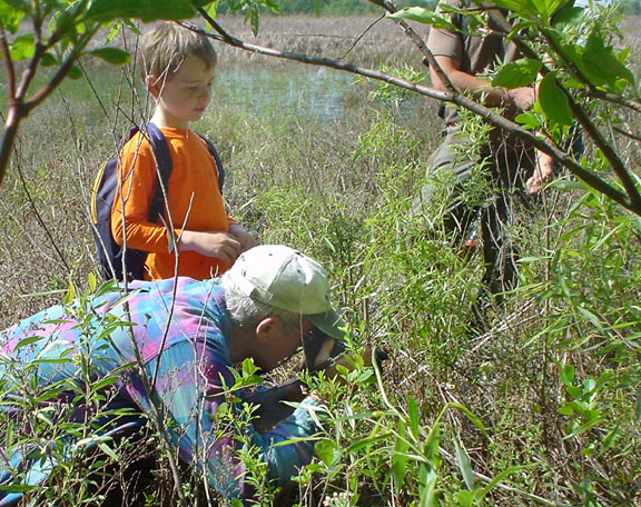 Read more about the article Frogs for Kids