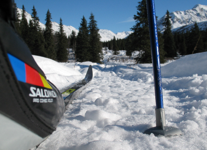 Read more about the article Alaska Boonie Skiing—crust skate heaven!