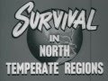 Read more about the article Vintage Survival Skills Video, Courtesy of the Military