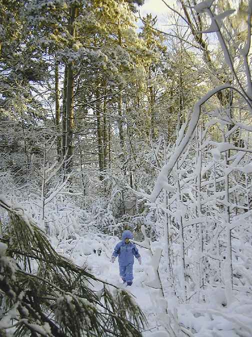 You are currently viewing Thanksgiving Snowstorm