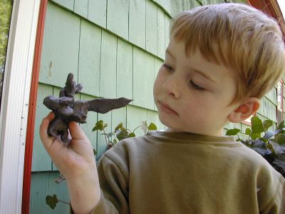 Read more about the article Henry’s World of Clay Creatures