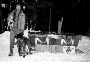 Read more about the article Surprise Sled Dog