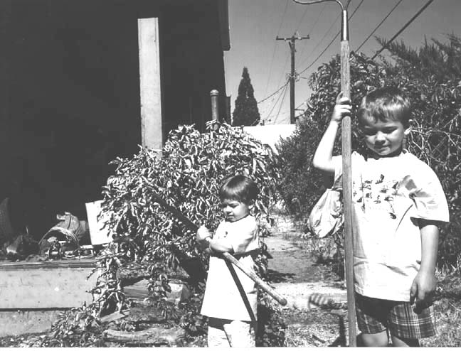 Kids doing yardwork in Tim's front yard