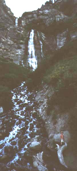 (Henry gets a nervy idea and bravely tackles the Falls, for a couple minutes.)